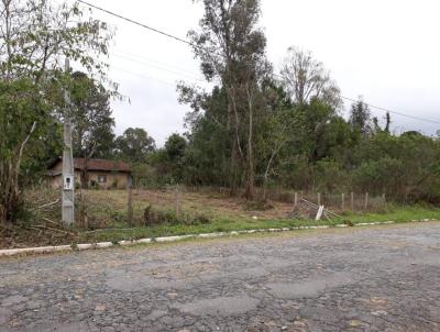 Terreno para Venda, em Rio Negro, bairro CENTRO